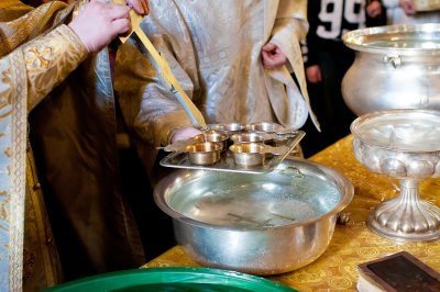 _DSC0380.jpg
